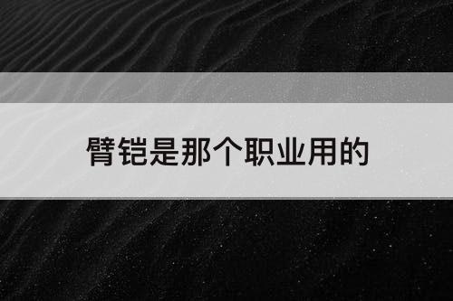 臂铠是那个职业用的