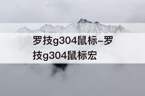 罗技g304鼠标-罗技g304鼠标宏