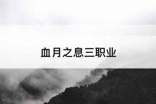 血月之息三职业