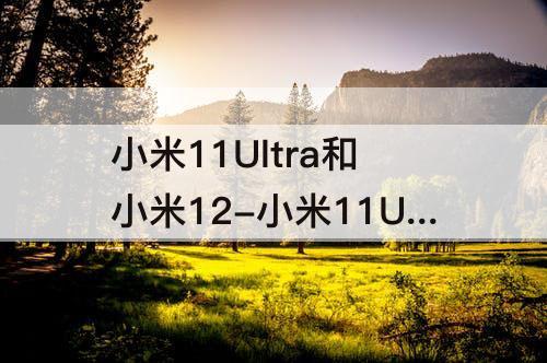 小米11Ultra和小米12-小米11Ultra和小米12pro
