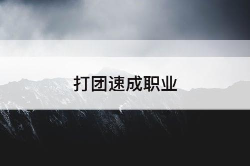 打团速成职业
