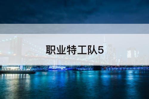 职业特工队5