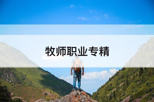牧师职业专精