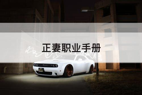 正妻职业手册