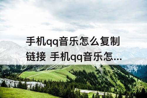 手机qq音乐怎么复制链接 手机qq音乐怎么复制链接到剪映