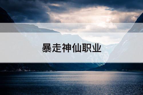 暴走神仙职业