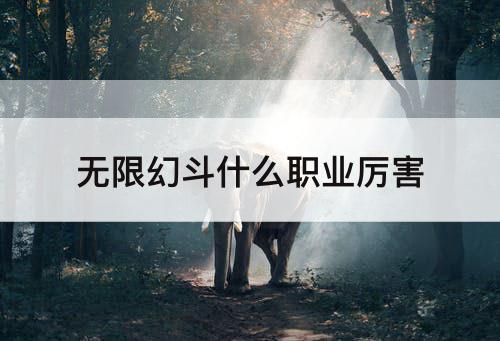 无限幻斗什么职业厉害