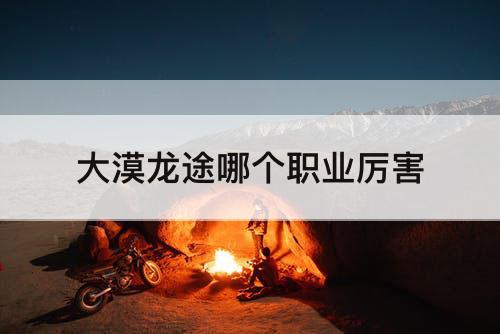 大漠龙途哪个职业厉害
