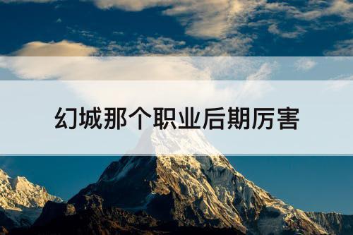 幻城那个职业后期厉害