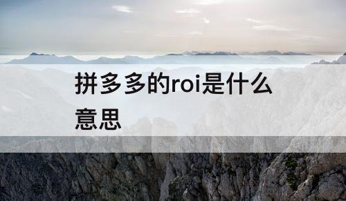 拼多多的roi是什么意思
