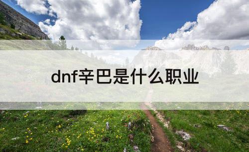 dnf辛巴是什么职业