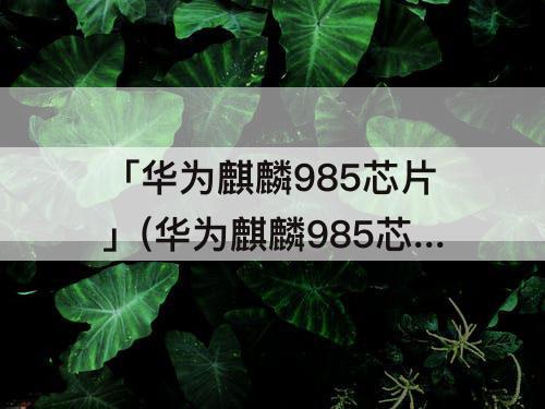 「华为麒麟985芯片」(华为麒麟985芯片还有多少)
