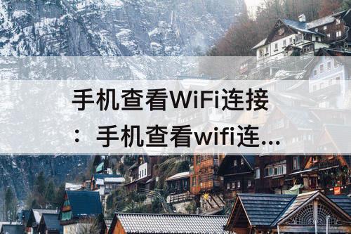 手机查看WiFi连接：手机查看wifi连接人数下载安装