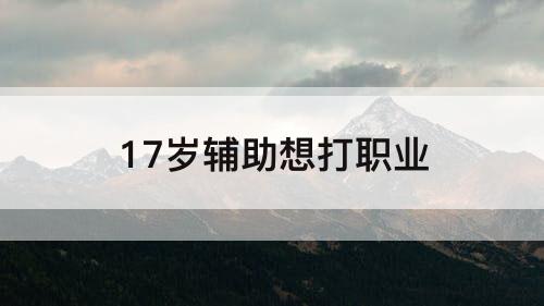 17岁辅助想打职业