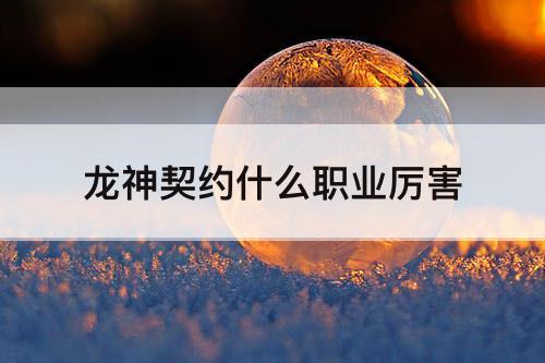 龙神契约什么职业厉害