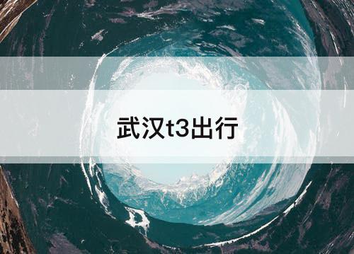武汉t3出行