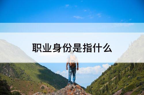 职业身份是指什么