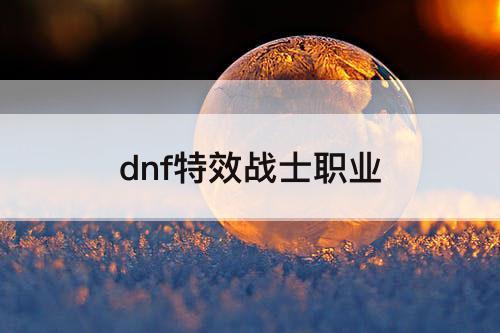 dnf特效战士职业