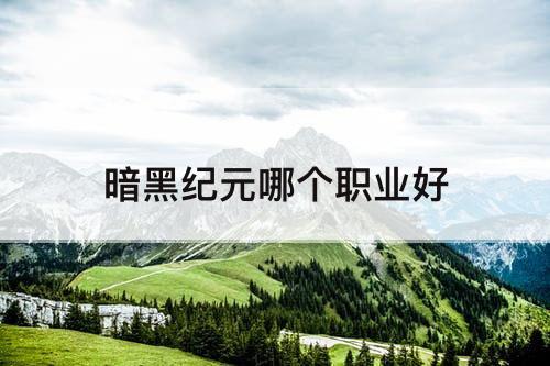 暗黑纪元哪个职业好