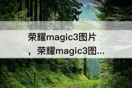 荣耀magic3图片，荣耀magic3图片中文字怎么润除