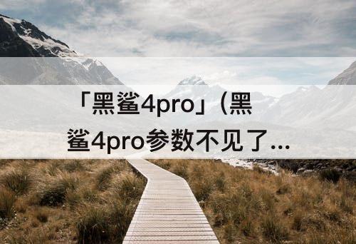 「黑鲨4pro」(黑鲨4pro参数不见了)