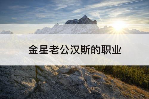 金星老公汉斯的职业