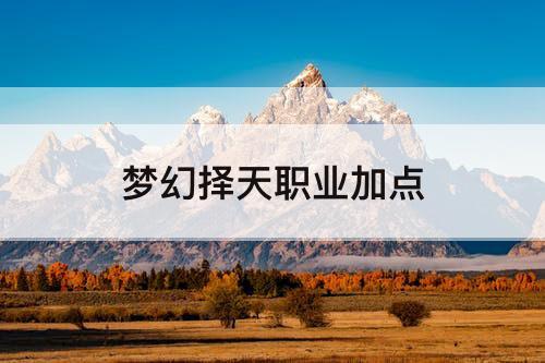 梦幻择天职业加点