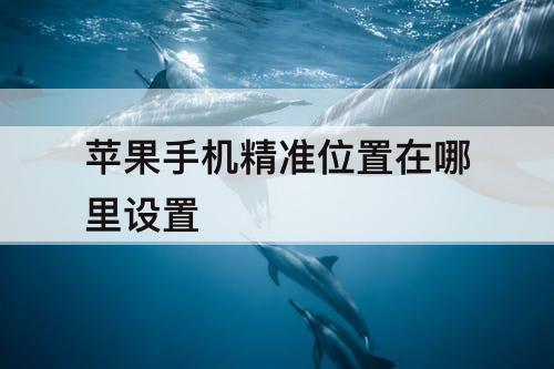 苹果手机精准位置在哪里设置