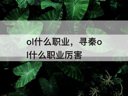 ol什么职业，寻秦ol什么职业厉害