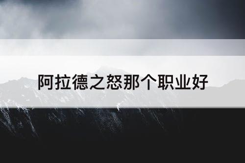 阿拉德之怒那个职业好