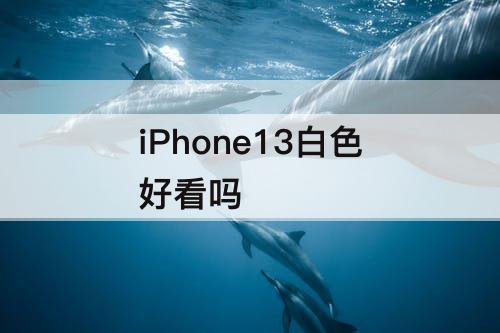 iPhone13白色好看吗