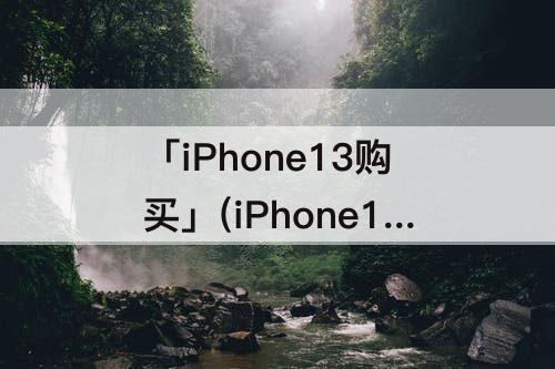 「iPhone13购买」(iPhone13购买记录图片)