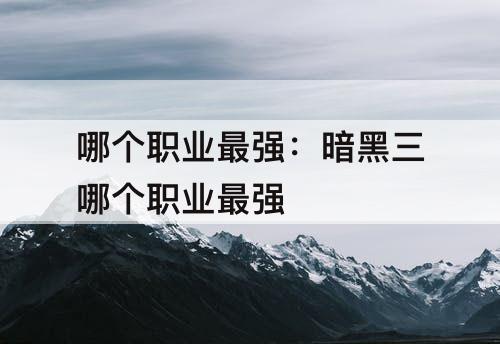 哪个职业最强：暗黑三哪个职业最强