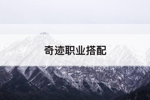 奇迹职业搭配