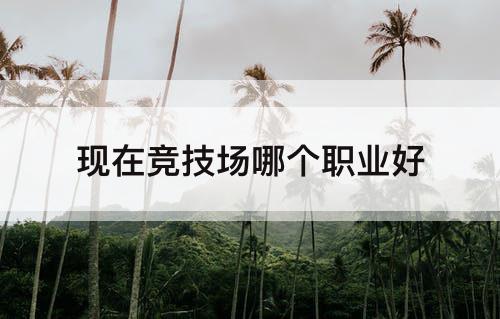 现在竞技场哪个职业好