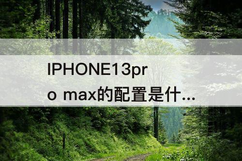 IPHONE13pro max的配置是什么