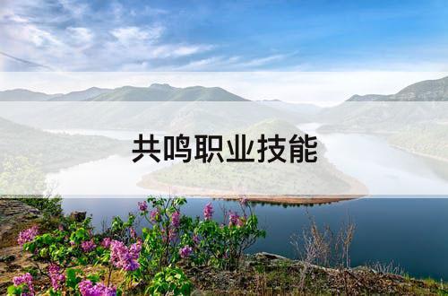 共鸣职业技能