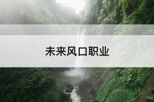 未来风口职业