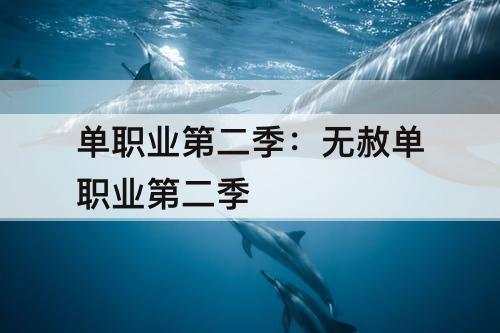 单职业第二季：无赦单职业第二季