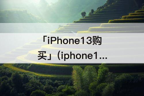 「iPhone13购买」(iphone13购买截图生成器)