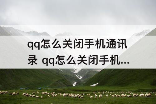 qq怎么关闭手机通讯录 qq怎么关闭手机通讯录关联