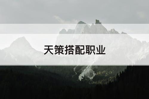 天策搭配职业