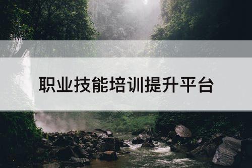 职业技能培训提升平台