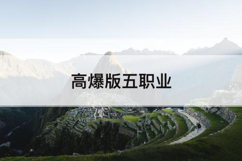 高爆版五职业