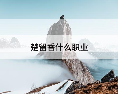 楚留香什么职业