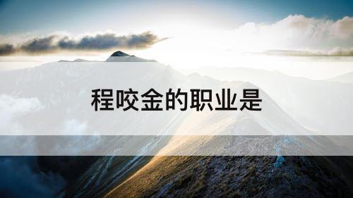 程咬金的职业是