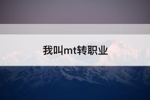 我叫mt转职业