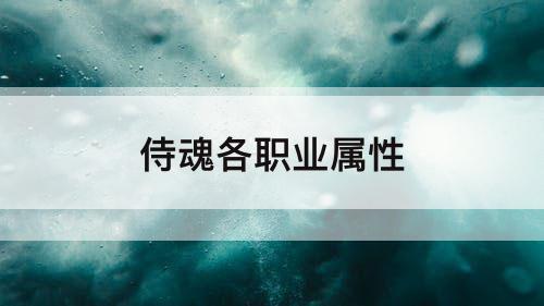 侍魂各职业属性