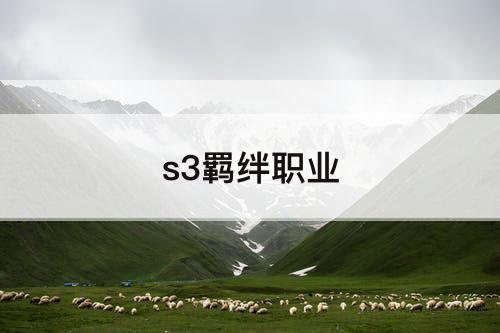 s3羁绊职业