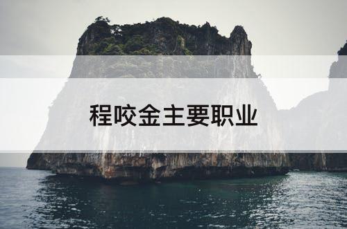 程咬金主要职业